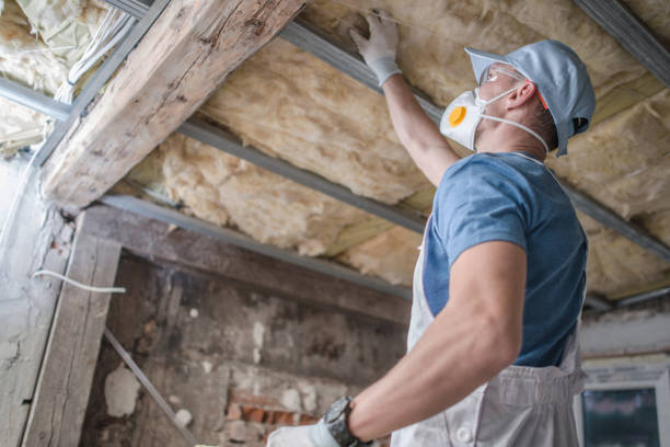 Best Insulation Maintenance and Repair in Eagle Lake, WI