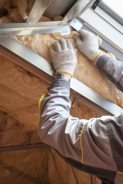Best Residential Insulation in Eagle Lake, WI