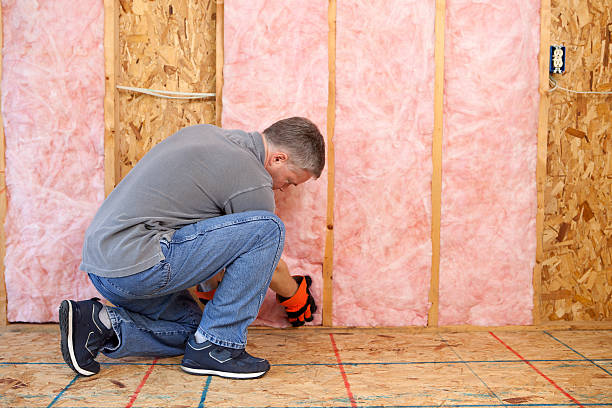 Best Insulation Installation Services in Eagle Lake, WI